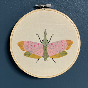 Embroidery hoop with a colorful moth design on a blue wall.