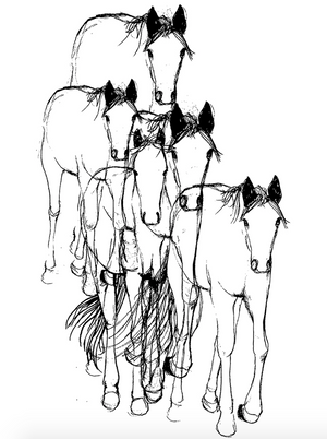 Black and white line drawing of four horses standing together.