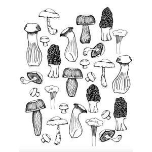 Illustration of various black and white mushrooms on a white background.