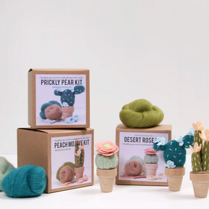 Craft kit with wool roving and finished products on a white background