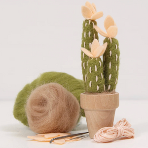 Completed needle felted craft kit, Peach Mojave shown with needle felting tools against a white background.