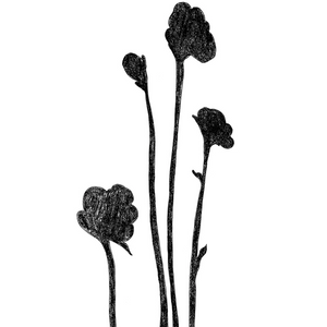 Sweatshirt - Shadow Flowers - Pia - Oatmeal