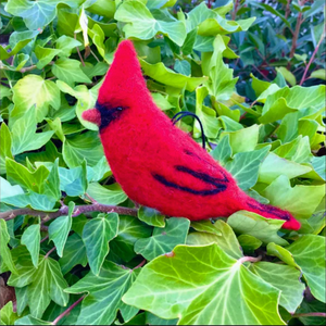 DIY - Needle Felting - Birds (Wool Pets) Craft Kit