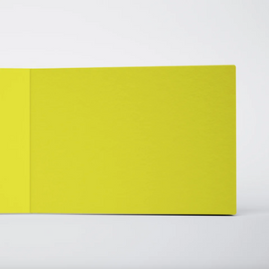 Notebook (3 Pack) - Lemon Shock No. 2 - Teal & Yellow