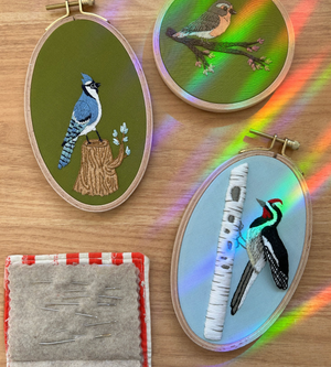 Completed samples for Busy Woodpecker Embroidery Kit by M Creative J as well as two other bird embroidery kits. A rainbow shines on the embroidered piece and the supplies surrounding it.