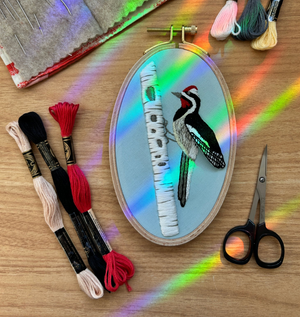 Completed sample for Busy Woodpecker Embroidery Kit by M Creative J. A rainbow shines on the embroidered piece and the supplies surrounding it.