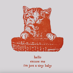 Red cat illustration on a white background with text 'hello excuse me i'm just a tiny baby'.