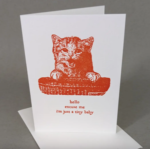 Letterpressed greeting card with red cat illustration and text that says "hello. excuse me. i'm just a tiny baby." on a white background.