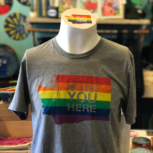 Gray t-shirt with rainbow design on a mannequin in a store setting. The rainbow in in the shape of Washington state and it says "We Like You Here" on it.
