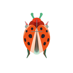 Cardboard sculpture of a red beetle with dark spots.