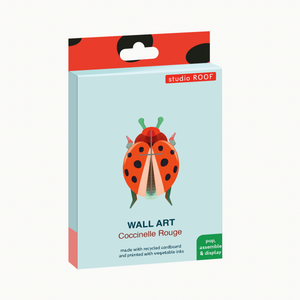 Packaging for the Coccinelle Rouge beetle wall art paper craft kit from Studio Roof.