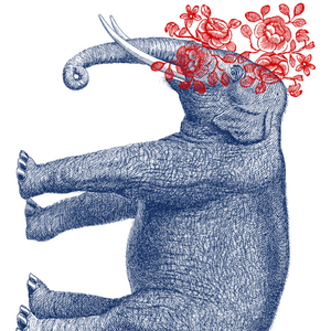 Illustration of an elephant with red floral decorations on a white background.
