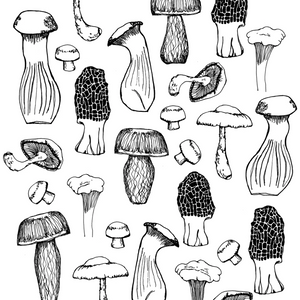Illustration of various black and white mushrooms on a white background.