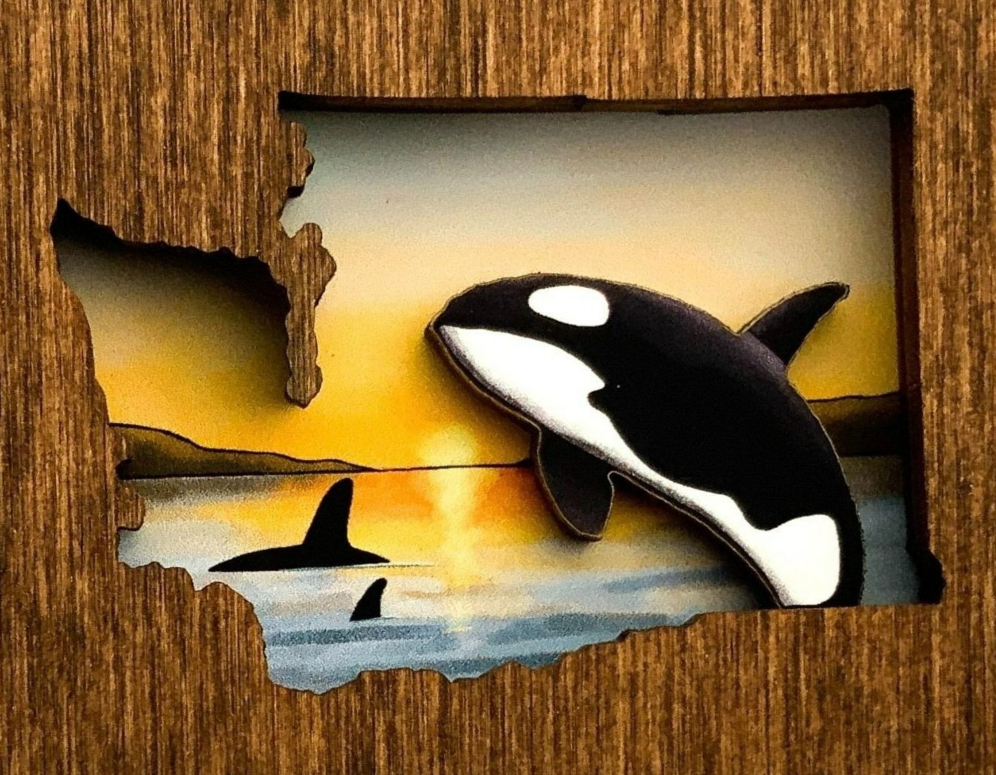 Magnet - Washington Orca