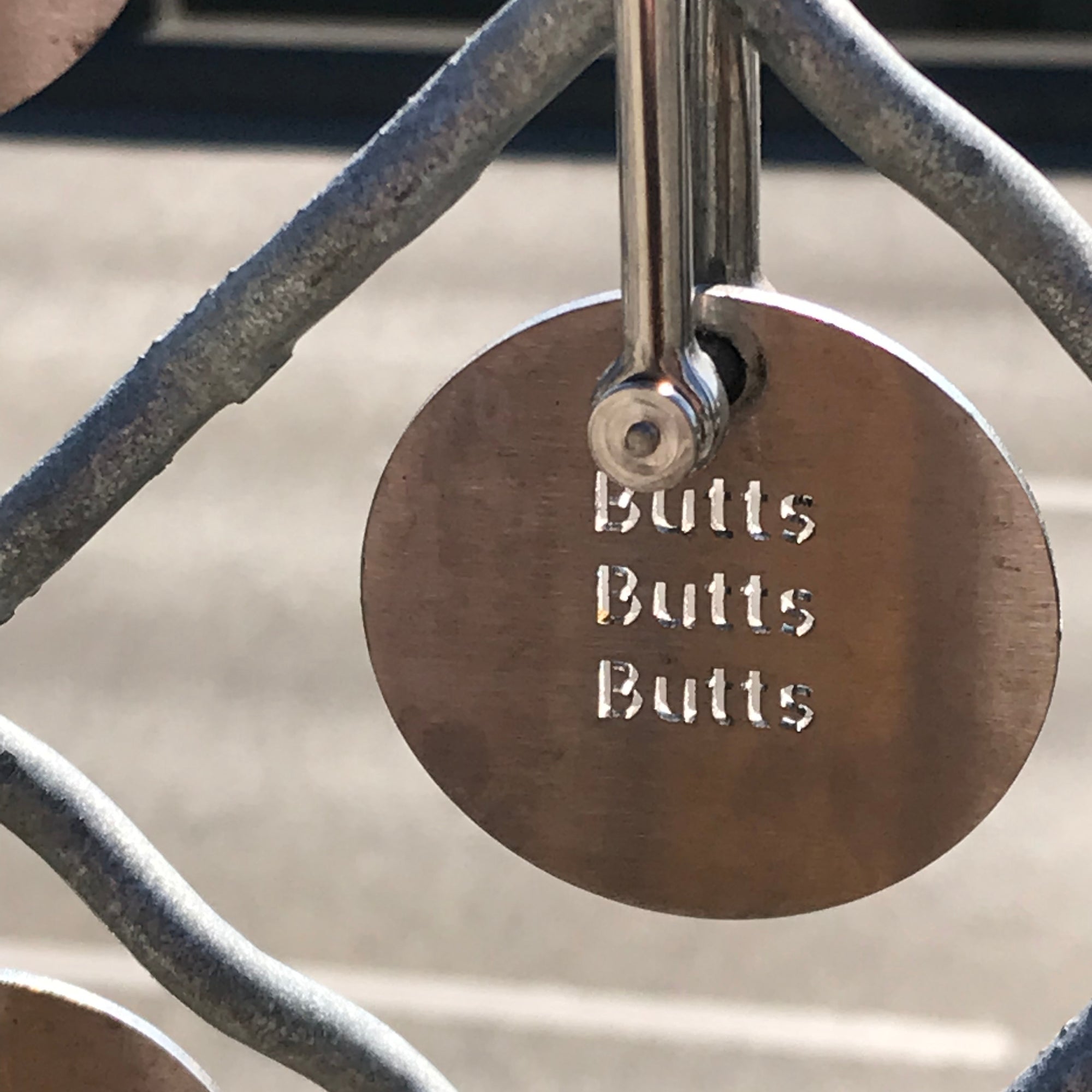 Charm hanging on a fence that says "Butts Butts Butts"