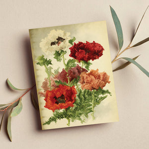 Card - Vintage Flowers