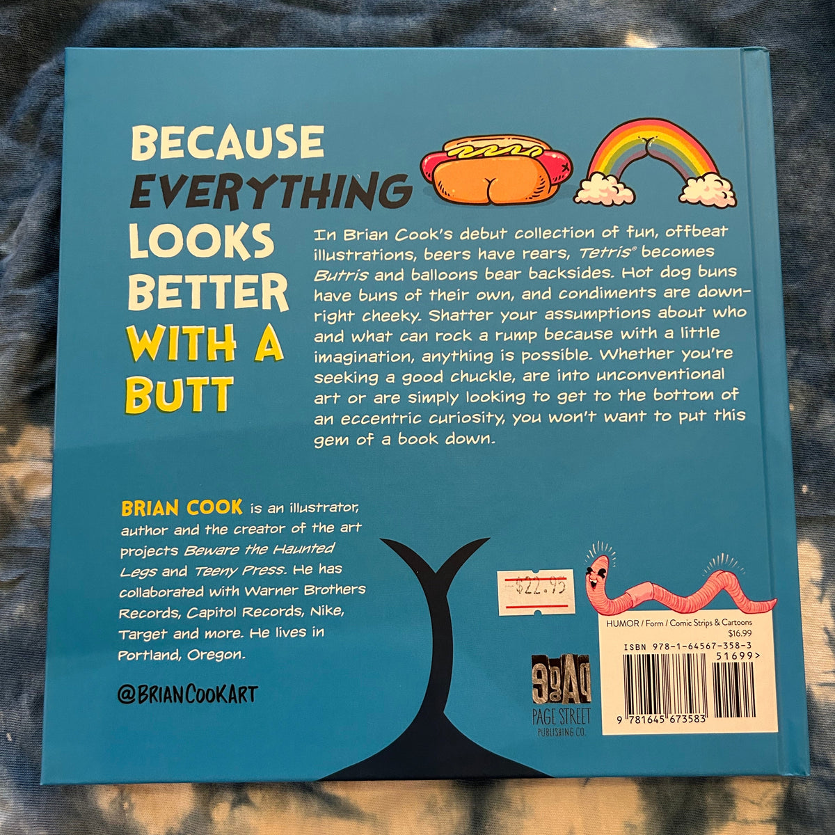Book back cover with humorous text and illustrations.