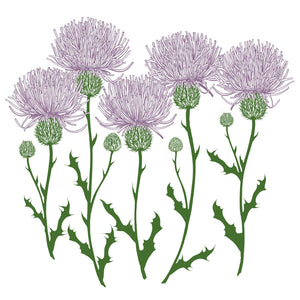 Illustration of purple thistle with green stems on a white background. 