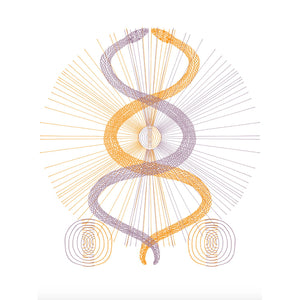 Colorful abstract design with intertwined lines on a white background. 