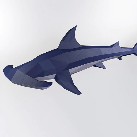A completed example of a hammerhead shark against a white background.