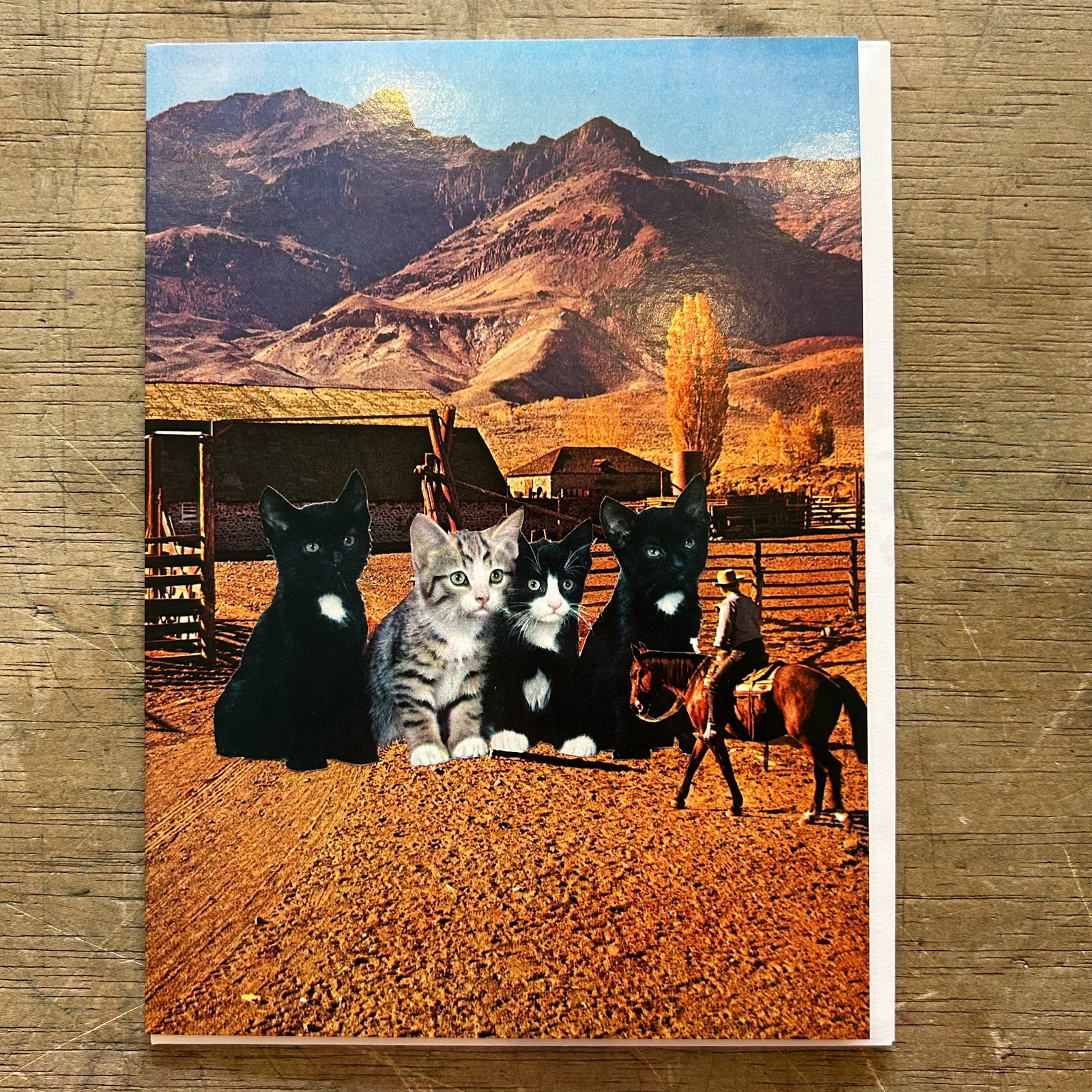 Card - Herding Cats