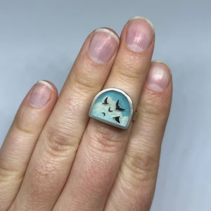 Ring - Flock
