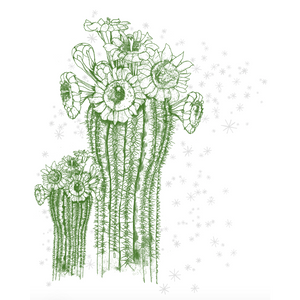 Illustration of a cactus with flowers on a white background. 