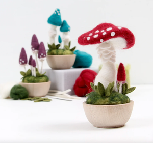 Needle Felting Kit - Crimson Toadstool