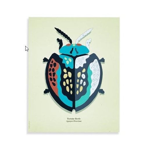 DIY - Mini 6x6 Paint Kit - Tortoise Beetle (Elle Cree) Paint By Number