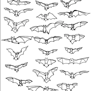 Pattern of black bat illustrations on a white background.
