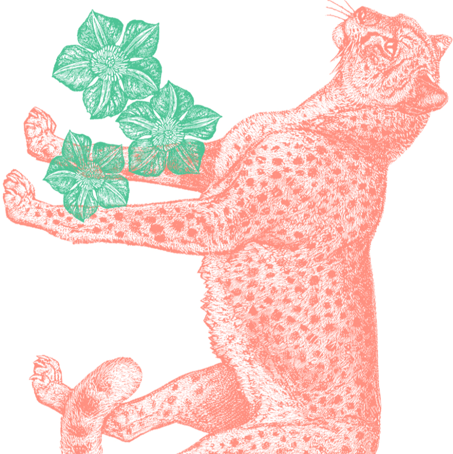 Illustration of an orange cheetah with green leaves on a white background. 