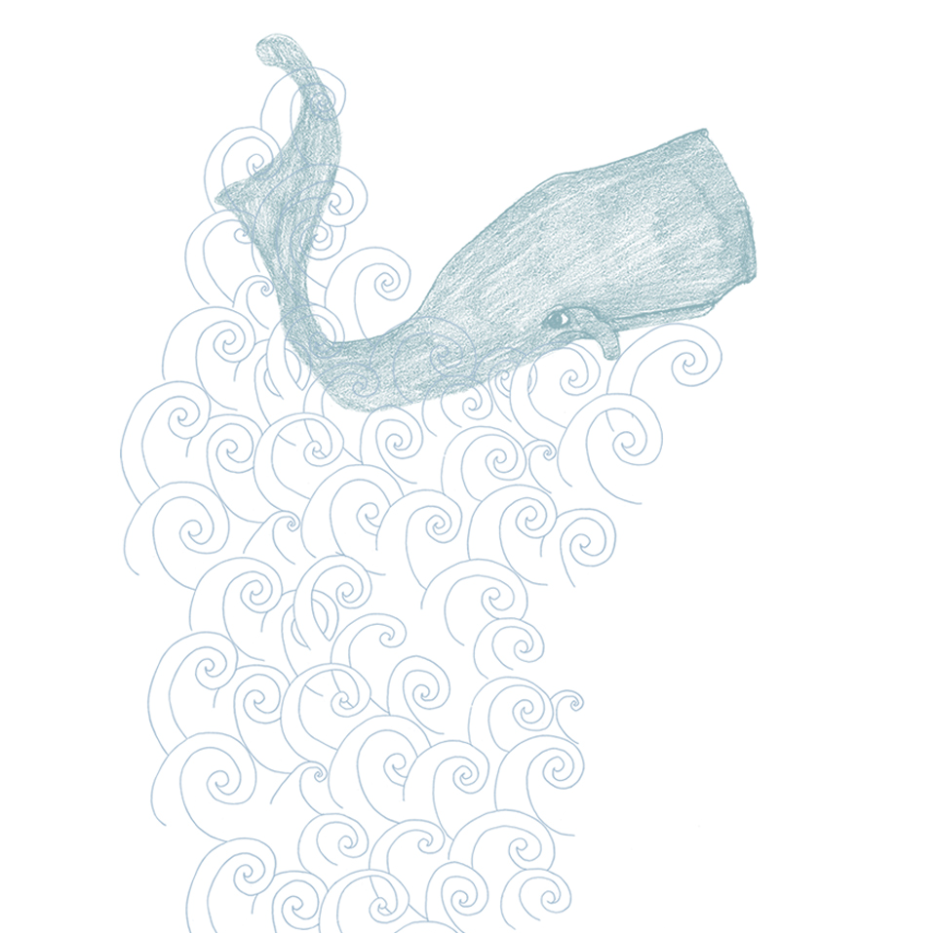 Blue whale illustration on a white background with wave patterns. 