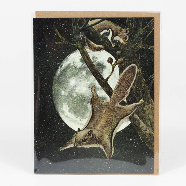 Card - Squirrel Away