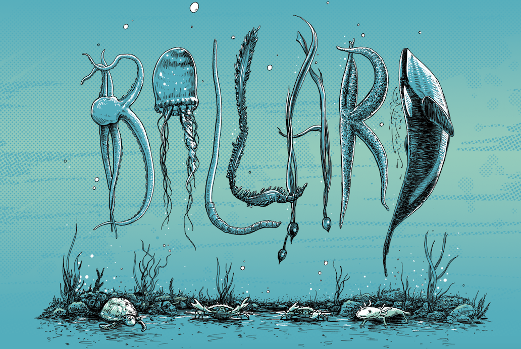 Postcard: Ballard - Ten Pack