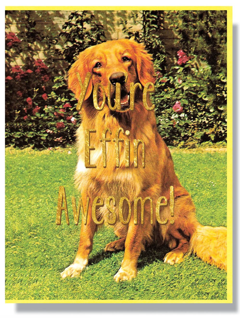 Card - You're Effin Awesome