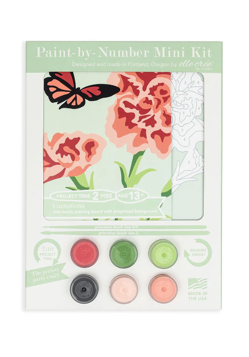 DIY - Mini 6x6 Paint Kit - Carnations (Elle Cree) Paint By Number