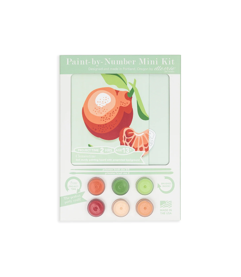 DIY - Mini 6x6 Paint Kit - Clementines (Elle Cree) Paint By Number