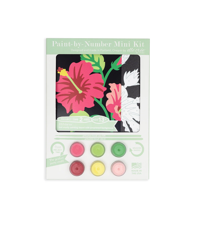 DIY - Mini 6x6 Paint Kit - Hibiscus (Elle Cree) Paint By Number