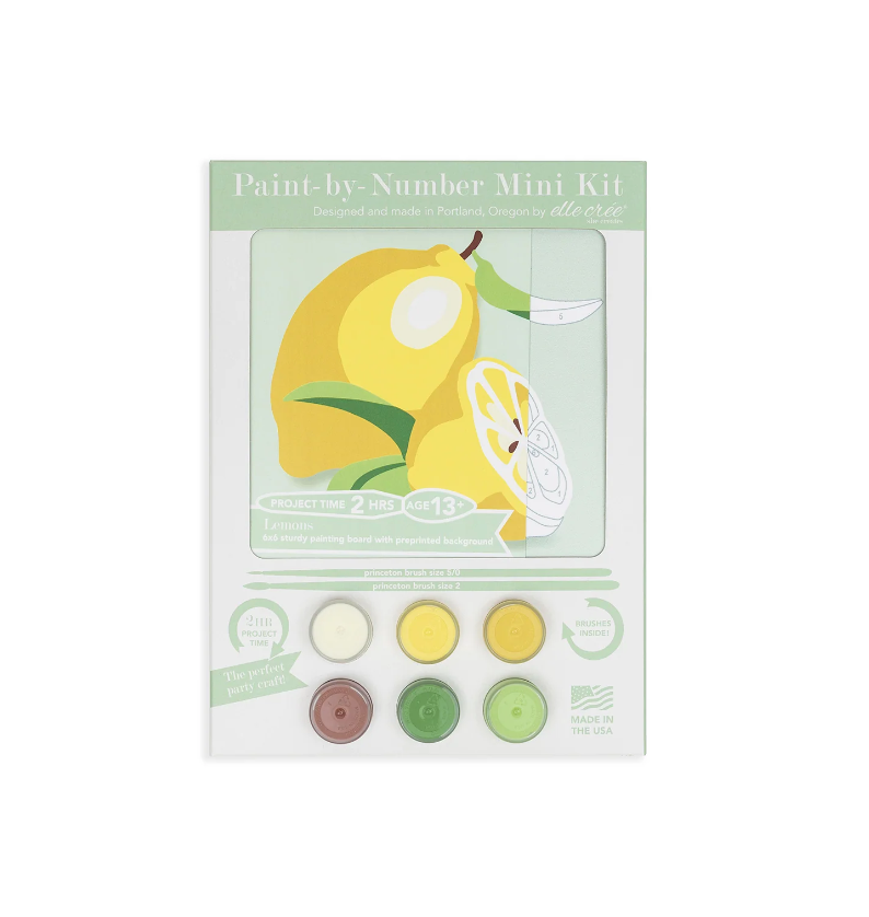 DIY - Mini 6x6 Paint Kit - Lemons (Elle Cree) Paint By Number