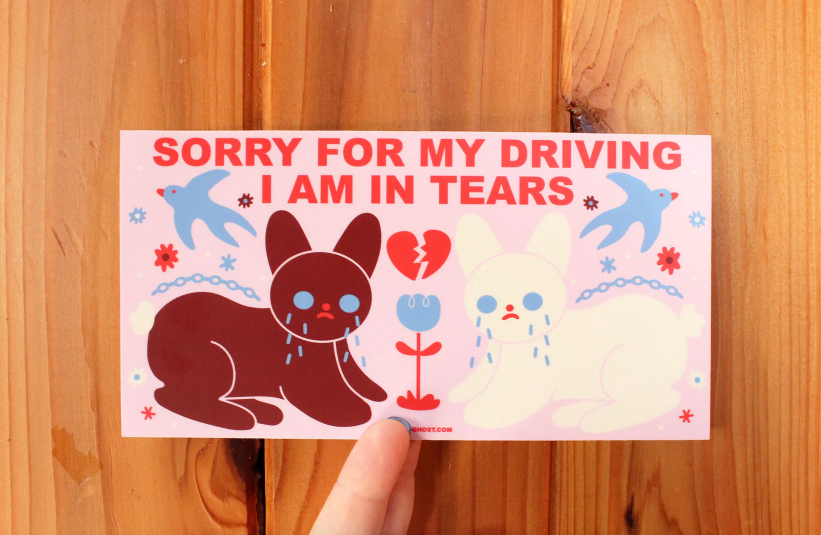 Sticker - Sorry For My Driving (Tender Ghost) Bumper
