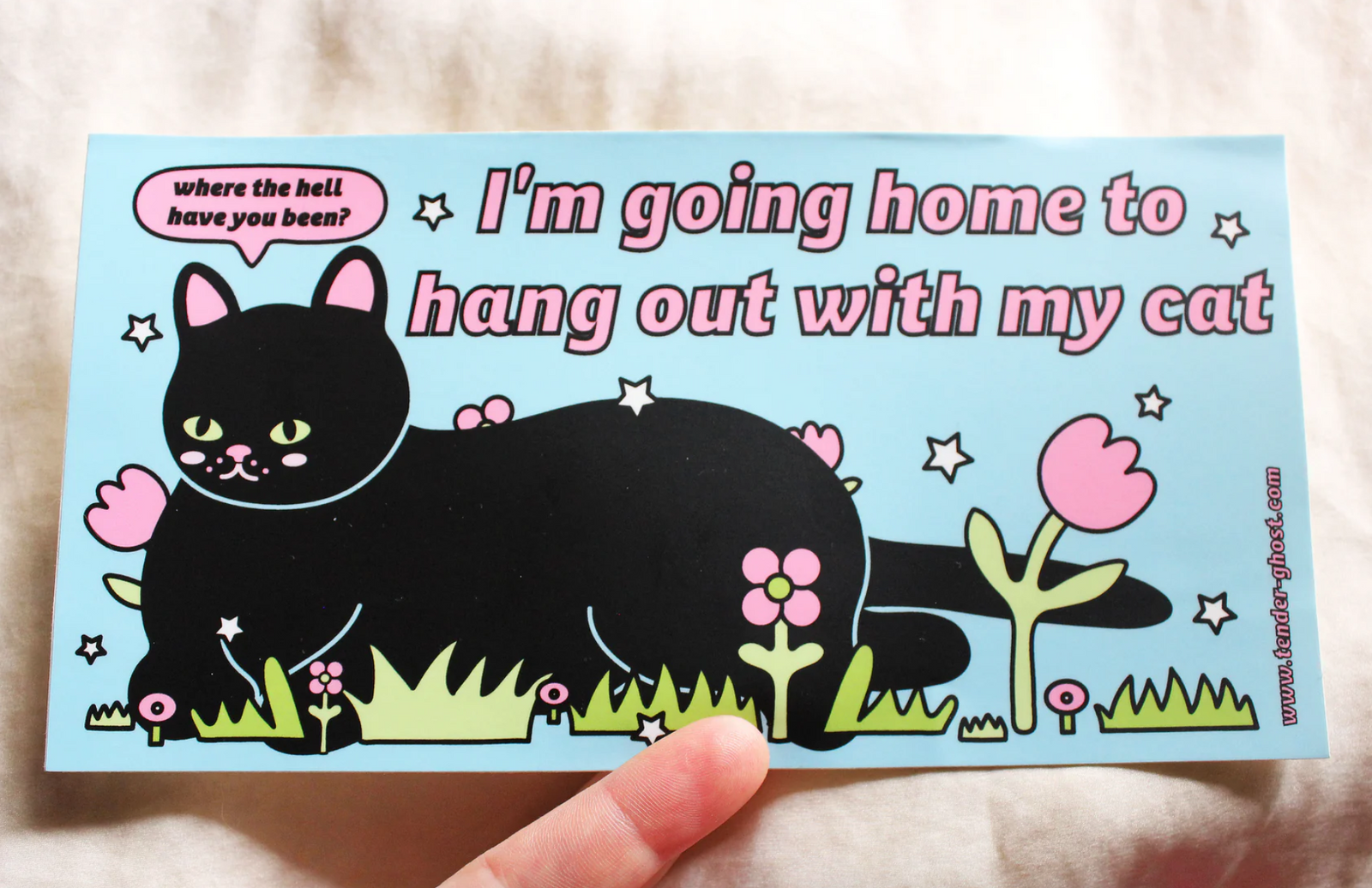 Sticker - Hang Out With My Cat (Tender Ghost) Bumper