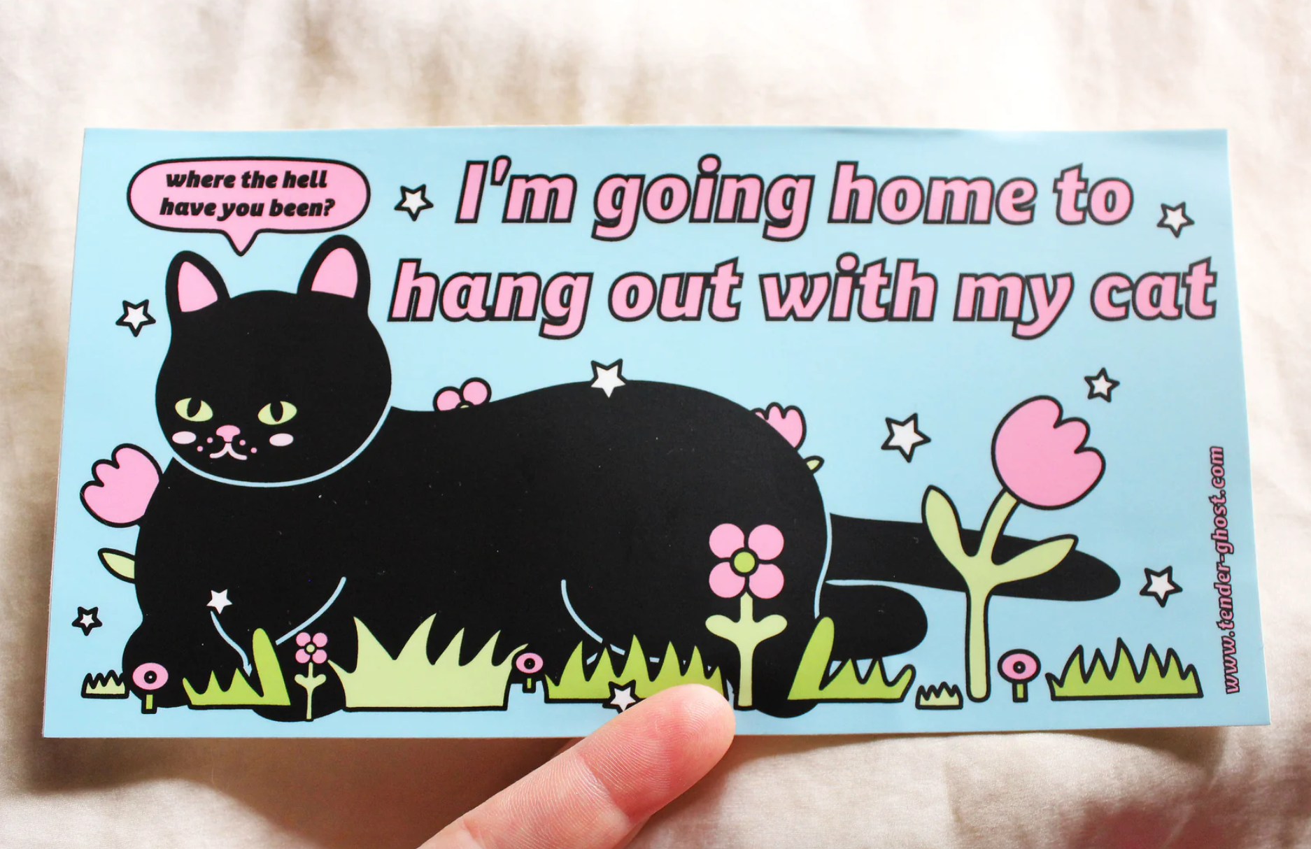 Sticker - Hang Out With My Cat (Tender Ghost) Bumper