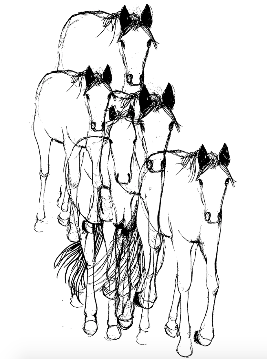 Dress - Horses Poppy Pocket (Supermaggie) Black