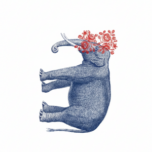 Illustration of an elephant with red floral headband on a white background