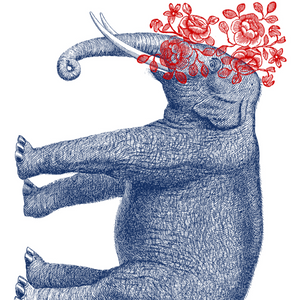 Youth Shirt - Elephant (Supermaggie) Lilac