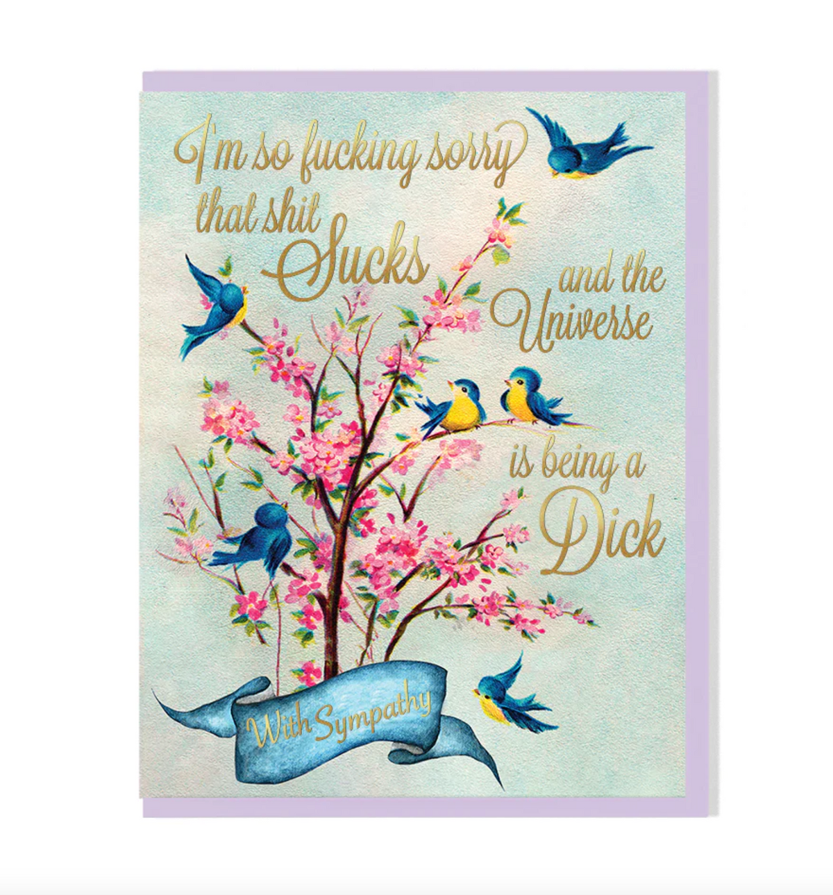 Card - I'm Sorry the Universe Is Being A Dick (Smitten Kitten) Sympathy