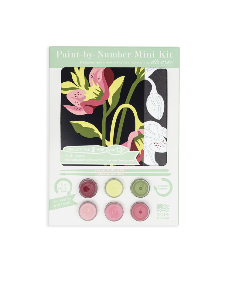 DIY - MINI Paint By Number Kit - Hellebores