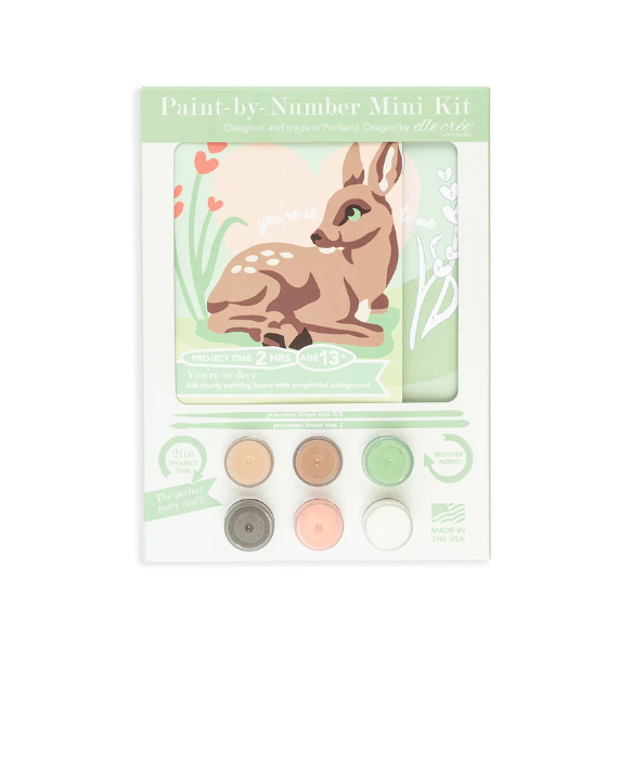 DIY - MINI Paint By Number Kit - You're So Deer