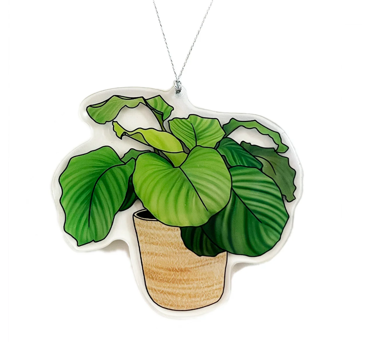 Ornament - Calathea