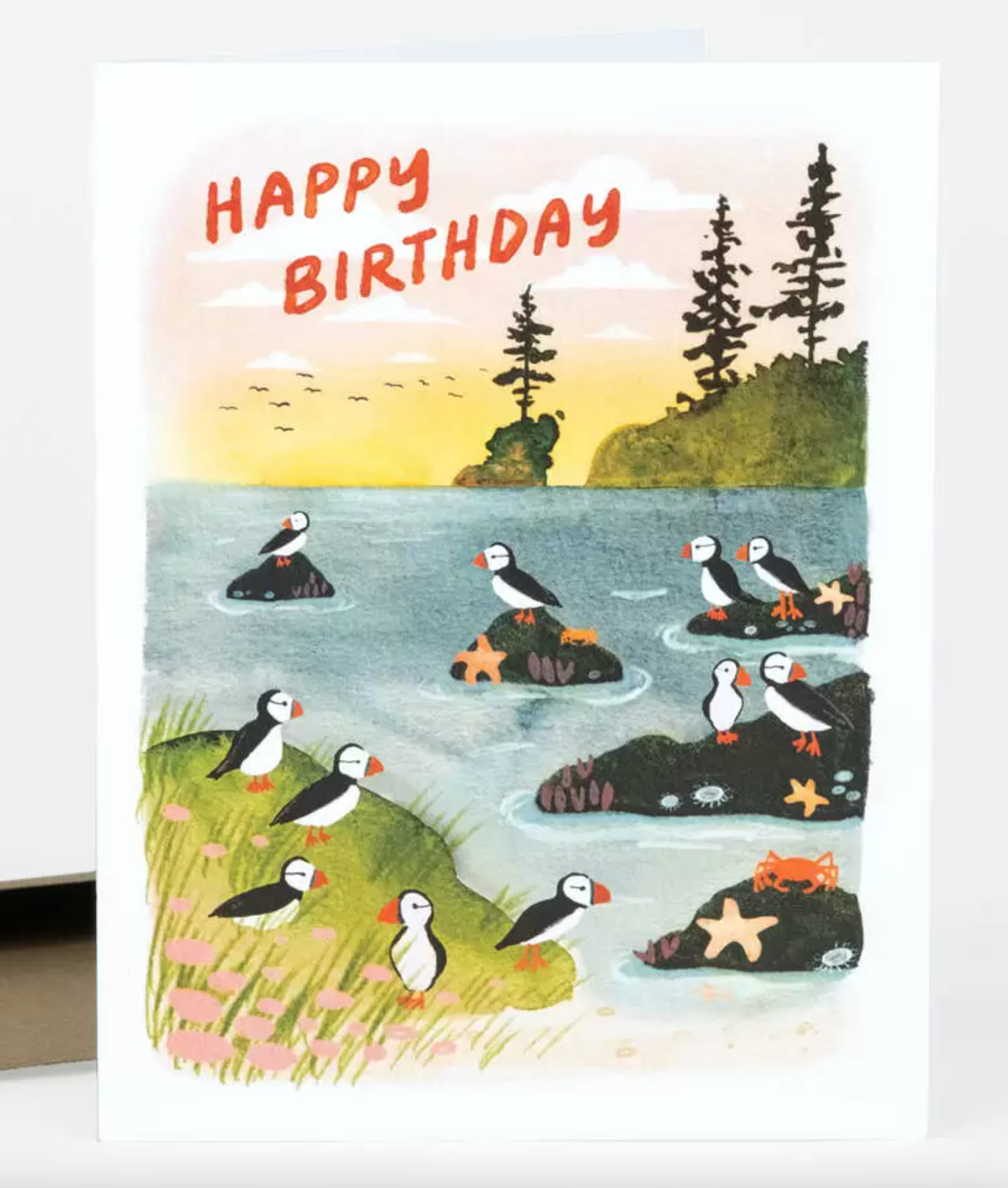 Card - Happy Birthday Puffins (Buy Olympia / Little Truths Studio) Birthday